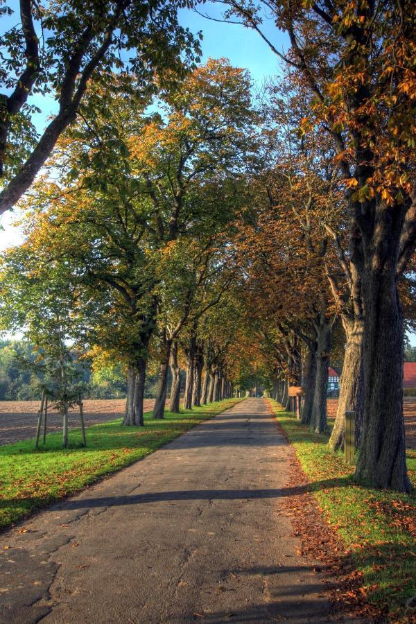 Schlosspark Hollwinkel Preußisch Oldendorf Exteriör bild